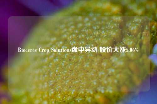 Bioceres Crop Solutions盘中异动 股价大涨5.06%