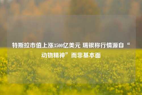 特斯拉市值上涨3500亿美元 瑞银称行情源自“动物精神”而非基本面