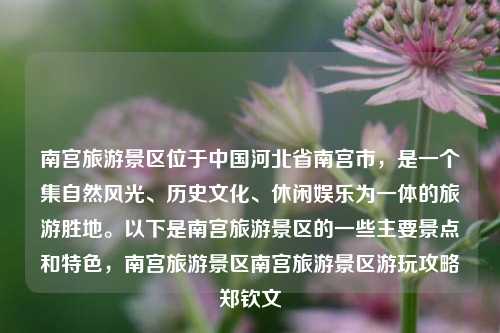 南宫旅游景区位于中国河北省南宫市，是一个集自然风光、历史文化、休闲娱乐为一体的旅游胜地。以下是南宫旅游景区的一些主要景点和特色，南宫旅游景区南宫旅游景区游玩攻略郑钦文