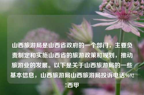 山西旅游局是山西省政府的一个部门，主要负责制定和实施山西省的旅游政策和规划，推动旅游业的发展。以下是关于山西旅游局的一些基本信息，山西旅游局山西旅游局投诉电话96927西甲