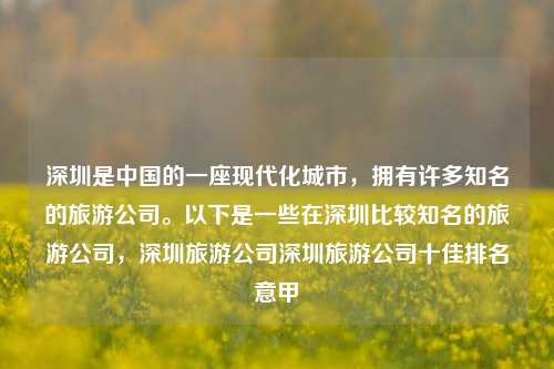 深圳是中国的一座现代化城市，拥有许多知名的旅游公司。以下是一些在深圳比较知名的旅游公司，深圳旅游公司深圳旅游公司十佳排名意甲