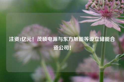 注资1亿元！茂硕电源与东方旭能等设立储能合资公司！