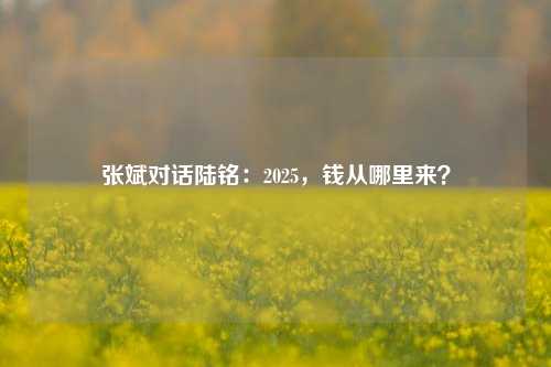 张斌对话陆铭：2025，钱从哪里来？