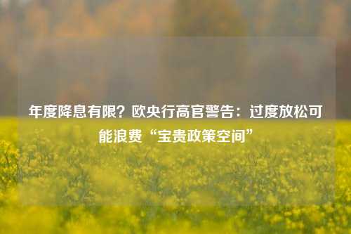 年度降息有限？欧央行高官警告：过度放松可能浪费“宝贵政策空间”