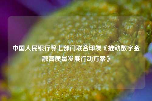 中国人民银行等七部门联合印发《推动数字金融高质量发展行动方案》