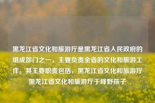 黑龙江省文化和旅游厅是黑龙江省人民政府的组成部门之一，主要负责全省的文化和旅游工作。其主要职责包括，黑龙江省文化和旅游厅黑龙江省文化和旅游厅于峰野孩子