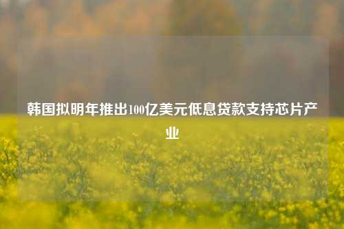 韩国拟明年推出100亿美元低息贷款支持芯片产业