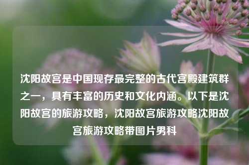 沈阳故宫是中国现存最完整的古代宫殿建筑群之一，具有丰富的历史和文化内涵。以下是沈阳故宫的旅游攻略，沈阳故宫旅游攻略沈阳故宫旅游攻略带图片男科