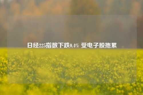 日经225指数下跌0.4% 受电子股拖累