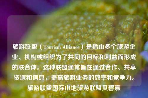 旅游联盟（Tourism Alliance）是指由多个旅游企业、机构或组织为了共同的目标和利益而形成的联合体。这种联盟通常旨在通过合作、共享资源和信息，提高旅游业务的效率和竞争力。旅游联盟国际山地旅游联盟贝碧嘉