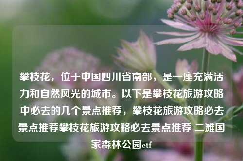 攀枝花，位于中国四川省南部，是一座充满活力和自然风光的城市。以下是攀枝花旅游攻略中必去的几个景点推荐，攀枝花旅游攻略必去景点推荐攀枝花旅游攻略必去景点推荐 二滩国家森林公园etf