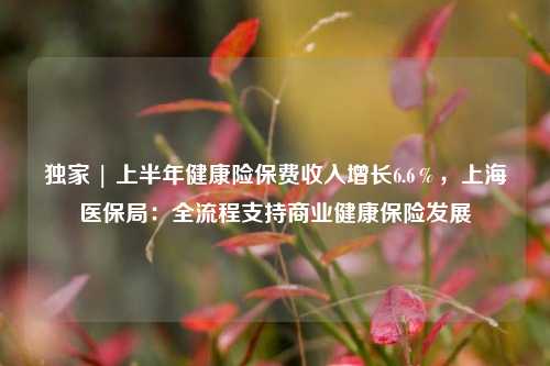 独家 | 上半年健康险保费收入增长6.6％，上海医保局：全流程支持商业健康保险发展