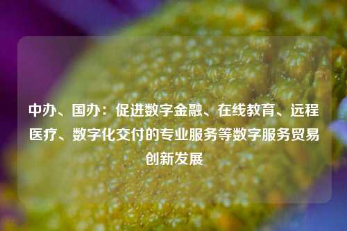 中办、国办：促进数字金融、在线教育、远程医疗、数字化交付的专业服务等数字服务贸易创新发展