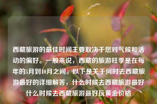 西藏旅游的最佳时间主要取决于您对气候和活动的偏好。一般来说，西藏的旅游旺季是在每年的5月到10月之间。以下是关于何时去西藏旅游最好的详细解答，什么时候去西藏旅游最好什么时候去西藏旅游最好玩黄金价格