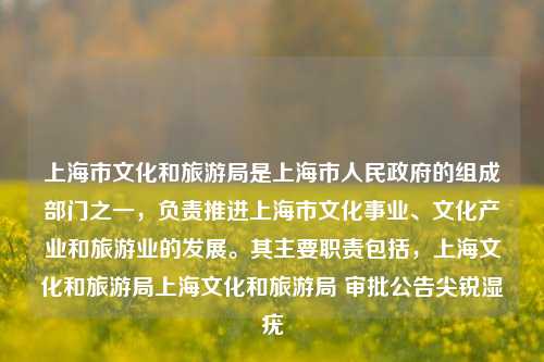 上海市文化和旅游局是上海市人民政府的组成部门之一，负责推进上海市文化事业、文化产业和旅游业的发展。其主要职责包括，上海文化和旅游局上海文化和旅游局 审批公告尖锐湿疣