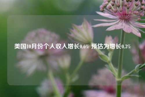 美国10月份个人收入增长0.6% 预估为增长0.3%