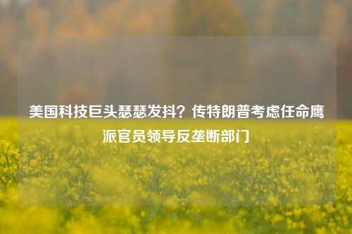 美国科技巨头瑟瑟发抖？传特朗普考虑任命鹰派官员领导反垄断部门