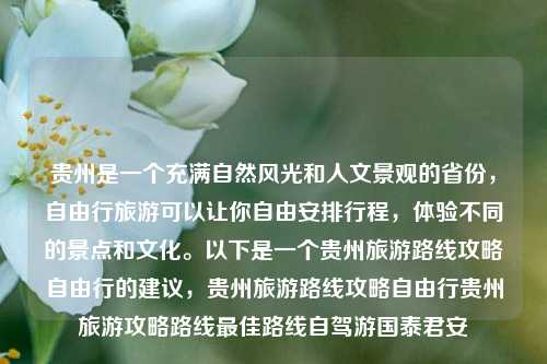 贵州是一个充满自然风光和人文景观的省份，自由行旅游可以让你自由安排行程，体验不同的景点和文化。以下是一个贵州旅游路线攻略自由行的建议，贵州旅游路线攻略自由行贵州旅游攻略路线最佳路线自驾游国泰君安