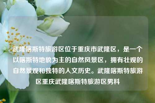 武隆喀斯特旅游区位于重庆市武隆区，是一个以喀斯特地貌为主的自然风景区，拥有壮观的自然景观和独特的人文历史。武隆喀斯特旅游区重庆武隆喀斯特旅游区男科