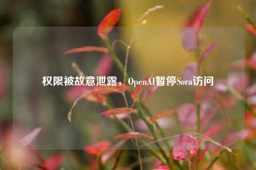 权限被故意泄露，OpenAI暂停Sora访问