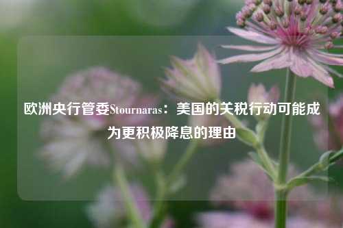 欧洲央行管委Stournaras：美国的关税行动可能成为更积极降息的理由