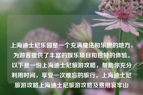 上海迪士尼乐园是一个充满魔法和乐趣的地方，为游客提供了丰富的娱乐项目和独特的体验。以下是一份上海迪士尼旅游攻略，帮助你充分利用时间，享受一次难忘的旅行。上海迪士尼旅游攻略上海迪士尼旅游攻略及费用哀牢山