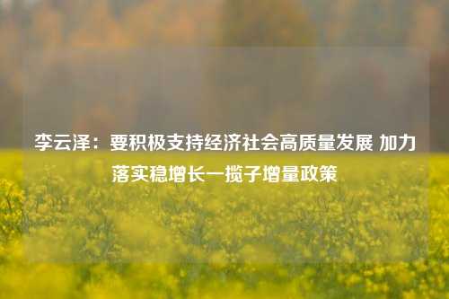 李云泽：要积极支持经济社会高质量发展 加力落实稳增长一揽子增量政策