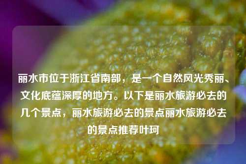 丽水市位于浙江省南部，是一个自然风光秀丽、文化底蕴深厚的地方。以下是丽水旅游必去的几个景点，丽水旅游必去的景点丽水旅游必去的景点推荐叶珂