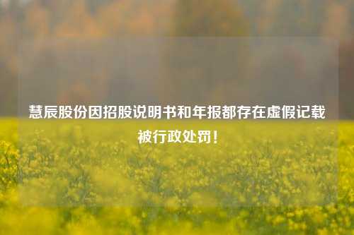 慧辰股份因招股说明书和年报都存在虚假记载被行政处罚！