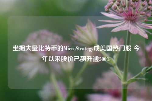 坐拥大量比特币的MicroStrategy成美国热门股 今年以来股价已飙升逾500%