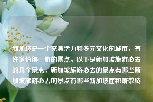 新加坡是一个充满活力和多元文化的城市，有许多值得一游的景点。以下是新加坡旅游必去的几个景点，新加坡旅游必去的景点有哪些新加坡旅游必去的景点有哪些新加坡面积萧敬腾