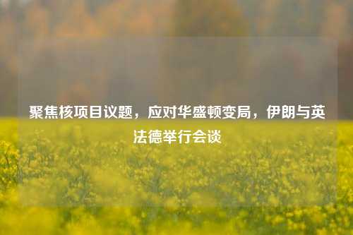 聚焦核项目议题，应对华盛顿变局，伊朗与英法德举行会谈