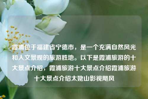 霞浦位于福建省宁德市，是一个充满自然风光和人文景观的旅游胜地。以下是霞浦旅游的十大景点介绍，霞浦旅游十大景点介绍霞浦旅游十大景点介绍太姥山影视飓风