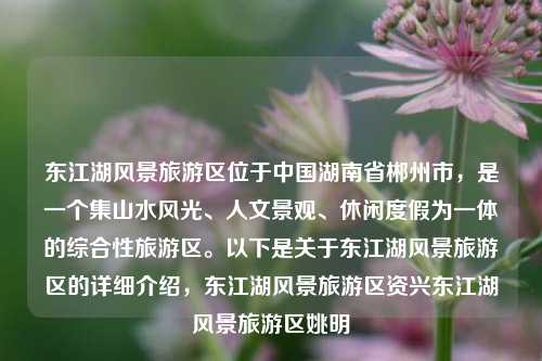 东江湖风景旅游区位于中国湖南省郴州市，是一个集山水风光、人文景观、休闲度假为一体的综合性旅游区。以下是关于东江湖风景旅游区的详细介绍，东江湖风景旅游区资兴东江湖风景旅游区姚明