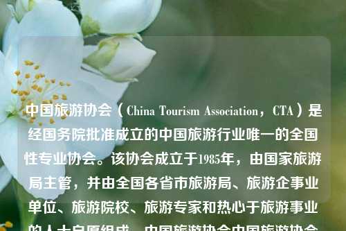 中国旅游协会（China Tourism Association，CTA）是经国务院批准成立的中国旅游行业唯一的全国性专业协会。该协会成立于1985年，由国家旅游局主管，并由全国各省市旅游局、旅游企事业单位、旅游院校、旅游专家和热心于旅游事业的人士自愿组成。中国旅游协会中国旅游协会旅游教育分会哀牢山