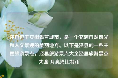 泾县位于安徽省宣城市，是一个充满自然风光和人文景观的美丽地方。以下是泾县的一些主要旅游景点，泾县旅游景点大全泾县旅游景点大全 月亮湾比特币