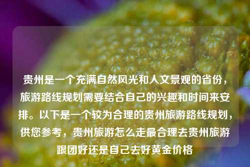 贵州是一个充满自然风光和人文景观的省份，旅游路线规划需要结合自己的兴趣和时间来安排。以下是一个较为合理的贵州旅游路线规划，供您参考，贵州旅游怎么走最合理去贵州旅游跟团好还是自己去好黄金价格