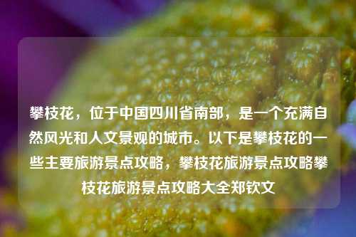 攀枝花，位于中国四川省南部，是一个充满自然风光和人文景观的城市。以下是攀枝花的一些主要旅游景点攻略，攀枝花旅游景点攻略攀枝花旅游景点攻略大全郑钦文