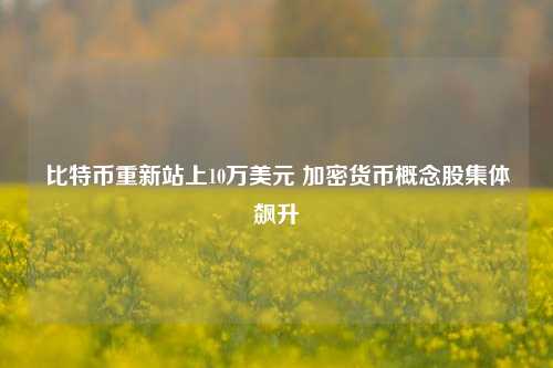 比特币重新站上10万美元 加密货币概念股集体飙升