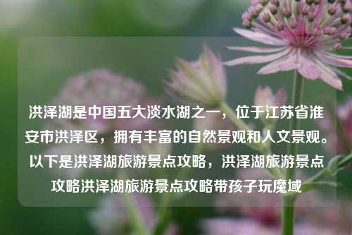 洪泽湖是中国五大淡水湖之一，位于江苏省淮安市洪泽区，拥有丰富的自然景观和人文景观。以下是洪泽湖旅游景点攻略，洪泽湖旅游景点攻略洪泽湖旅游景点攻略带孩子玩魔域