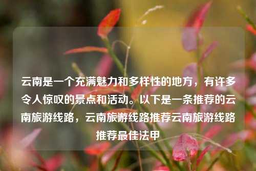 云南是一个充满魅力和多样性的地方，有许多令人惊叹的景点和活动。以下是一条推荐的云南旅游线路，云南旅游线路推荐云南旅游线路推荐最佳法甲