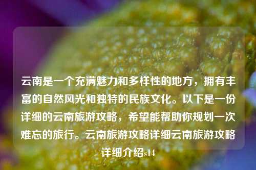 云南是一个充满魅力和多样性的地方，拥有丰富的自然风光和独特的民族文化。以下是一份详细的云南旅游攻略，希望能帮助你规划一次难忘的旅行。云南旅游攻略详细云南旅游攻略详细介绍s14