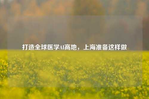 打造全球医学AI高地，上海准备这样做