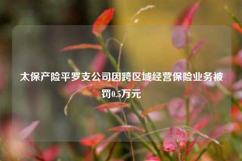 太保产险平罗支公司因跨区域经营保险业务被罚0.5万元