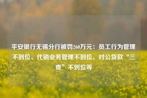 平安银行无锡分行被罚260万元：员工行为管理不到位、代销业务管理不到位、对公贷款“三查”不到位等