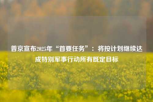 普京宣布2025年“首要任务”：将按计划继续达成特别军事行动所有既定目标