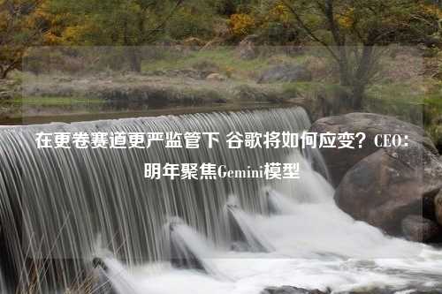 在更卷赛道更严监管下 谷歌将如何应变？CEO：明年聚焦Gemini模型