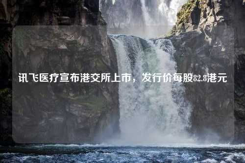 讯飞医疗宣布港交所上市，发行价每股82.8港元