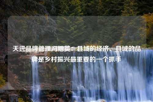 天进品牌管理冯帼英：县域的经济、县域的品牌是乡村振兴最重要的一个抓手