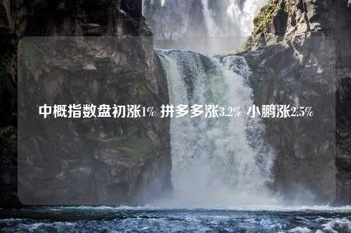 中概指数盘初涨1% 拼多多涨3.2% 小鹏涨2.5%